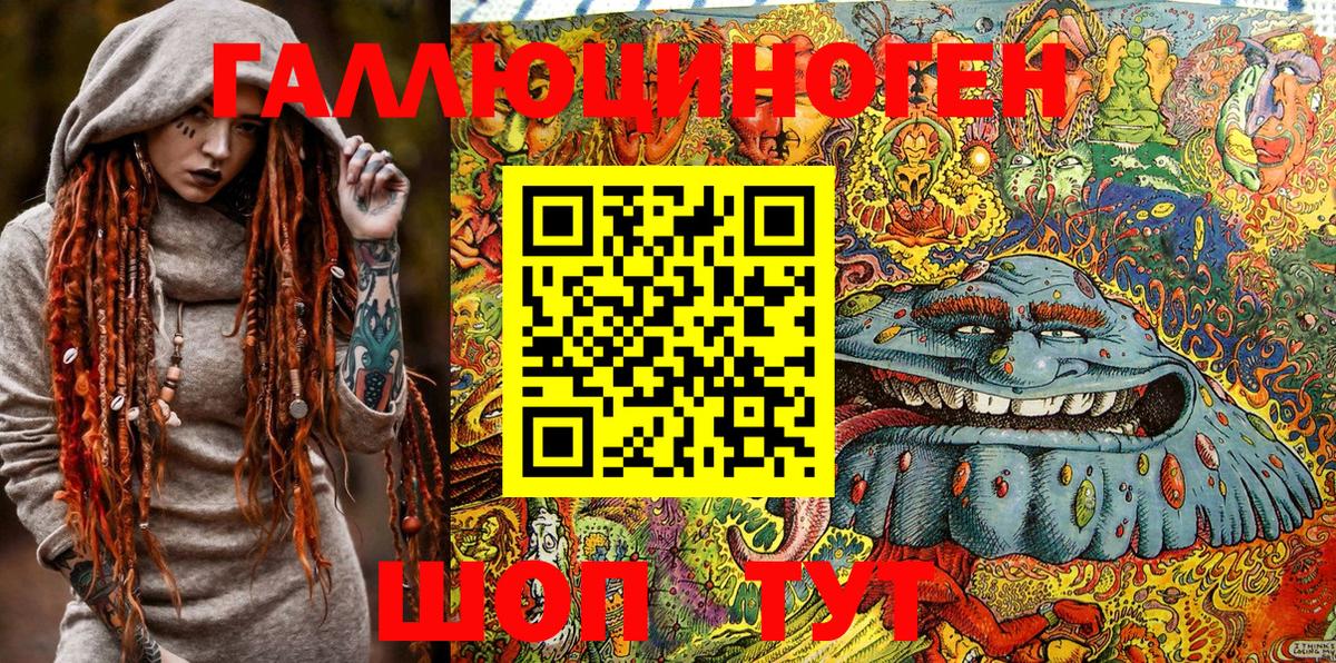 Псилоцибиновые грибы Psilocybine cubensis Малгобек