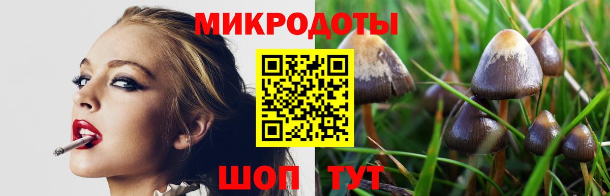как найти   Псилоцибиновые грибы Psilocybine cubensis  Вход с VPN  Малгобек  Псилоцибиновые грибы Magic Shrooms 